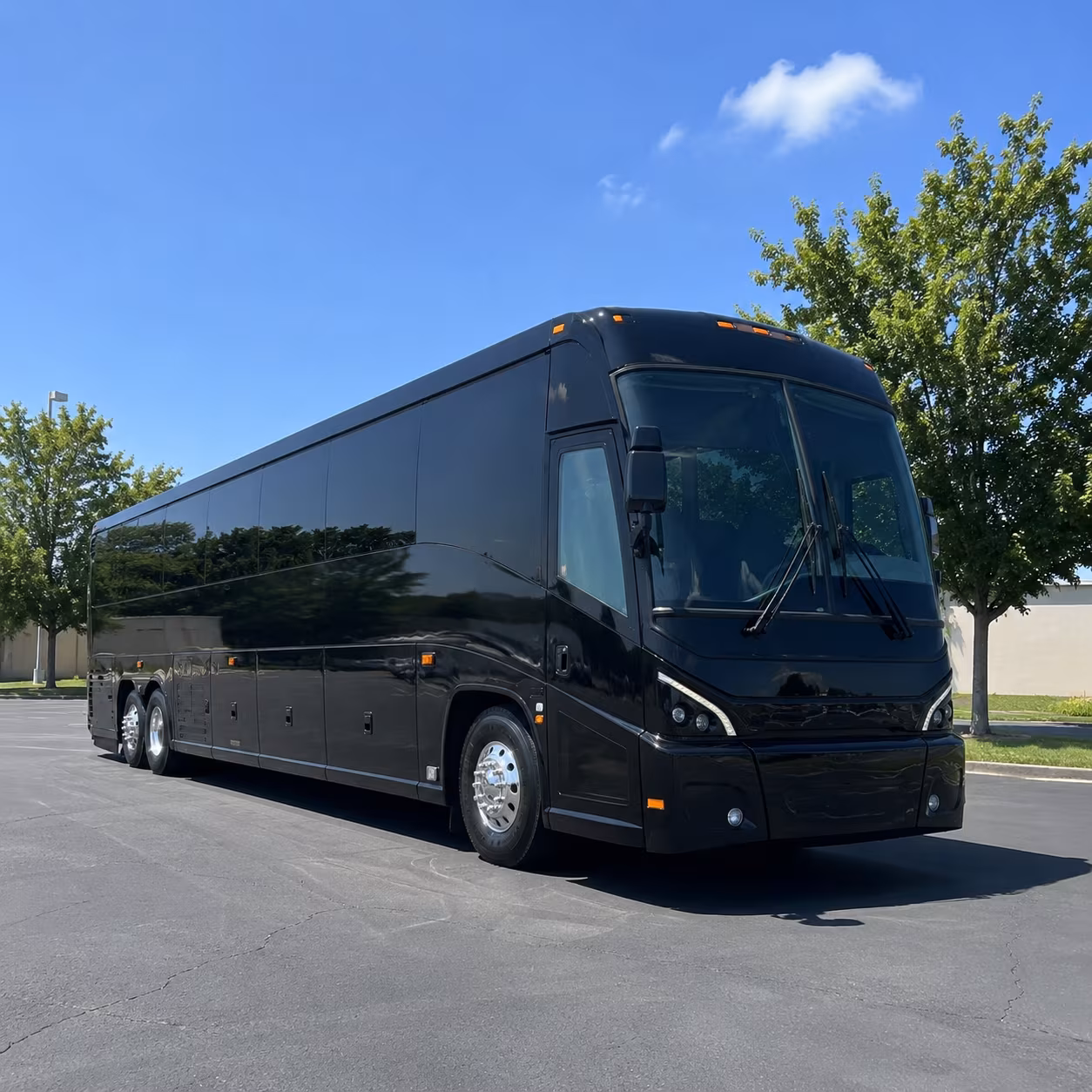 athens 56 passenger charter bus